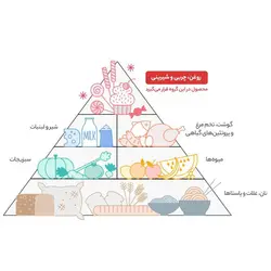 کنسرو خوراک بادمجان گیلانی - 380 گرم - سام شاپ
