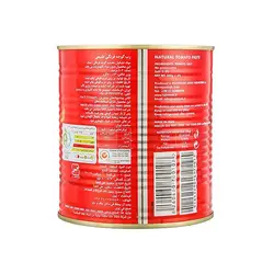 رب گوجه فرنگی روژین - 800 گرم | خرید محصولات روژین | فروشگاه آنلاین سام شاپ