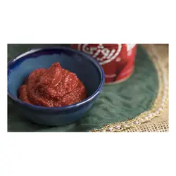 رب گوجه فرنگی روژین - 800 گرم | خرید محصولات روژین | فروشگاه آنلاین سام شاپ