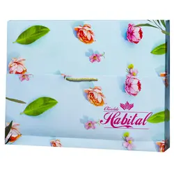 کادویی بزرگ دلارام