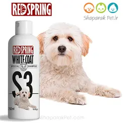 شامپوسگ با موهای روشن رد اسپرینگ