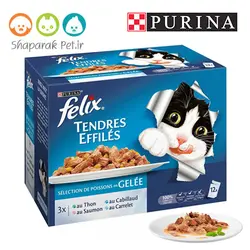 پوچ گربه بالغ فلیکس پورینا - روسی