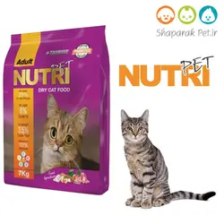 غذای گربه نوتری - پروبیوتیک