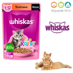 پوچ بچه گربه ویسکاس - گوشت گوساله