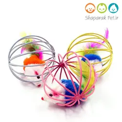 اسباب بازی گربه موش در قفس