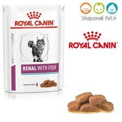 پوچ رنال گربه رویال کنین