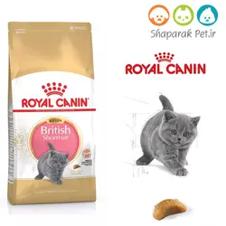 غذای بچه گربه بریتیش رویال کنین