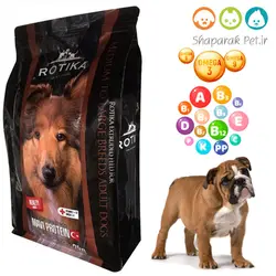 غذای سگ بالغ نژاد بزرگ روتیکا