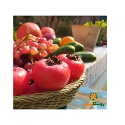 سبد ترکه بافی(کوچک به قطر 20 سانیمتر)