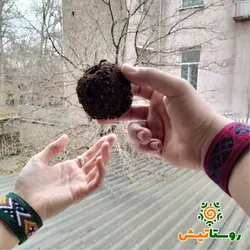 سیب میخکوب یا سیب عشق