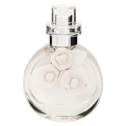 عطرادکلن مینیاتوری برندینی مدل ولنتاین brandini Valentine