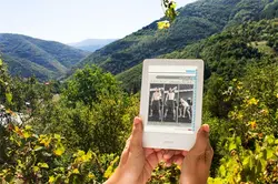 جامع‌ترین کتاب الکترونیکی آموزش حرکات بدنسازی