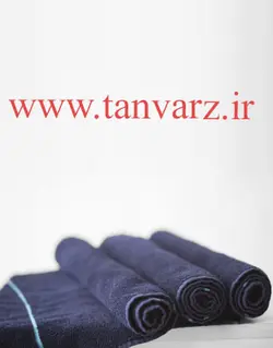 حوله ورزشی با کیف چمپکس (Sports Towel)