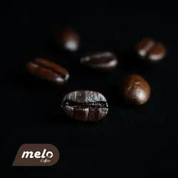 قهوه برزیل صددرصد عربیکا (۲۵۰گرمی)