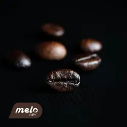 قهوه برزیل صددرصد روبوستا مدیوم (۲۵۰گرمی)