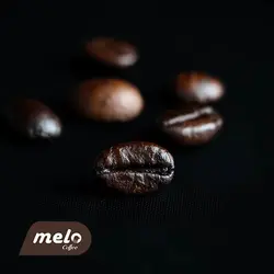 قهوه برزیل صددرصد روبوستا دارک (۲۵۰گرمی)