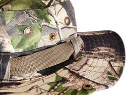 کلاه استتاربرگ درختی