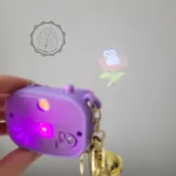 جاسوییچی طرح دوربین