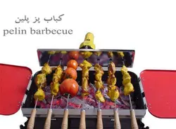 کباب پز گازی و ذغالی پلین