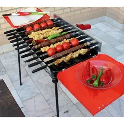 کباب پز گازی و ذغالی پلین