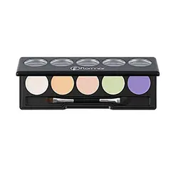 پالت کانسیلر رنگی فلورمار