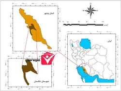 دانلود نقشه موقعیت شهرستان تنگستان
