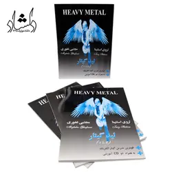 خرید و قیمت کتاب لید گیتار (تروی استتینا) بهترین کیفیت و ارسال رایگان - دلشاد موزیک