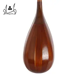 خرید و قیمت تنبور براخانی بهترین کیفیت و ارسال رایگان - دلشاد موزیک