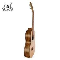 خرید و قیمت گیتار پارسی P70 خرید قسطی با بهترین کیفیت - دلشاد موزیک