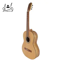 خرید و قیمت گیتار پارسی P70 خرید قسطی با بهترین کیفیت - دلشاد موزیک