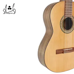 خرید و قیمت گیتار پارسی P70 خرید قسطی با بهترین کیفیت - دلشاد موزیک