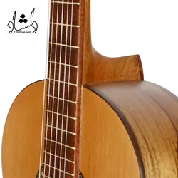 خرید و قیمت گیتار پارسی P70 خرید قسطی با بهترین کیفیت - دلشاد موزیک