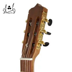 خرید و قیمت گیتار پارسی P70 خرید قسطی با بهترین کیفیت - دلشاد موزیک