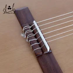 خرید و قیمت گیتار پارسی P70 خرید قسطی با بهترین کیفیت - دلشاد موزیک