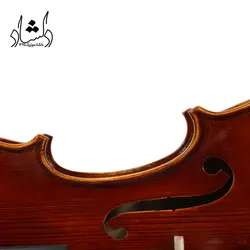 خرید و قیمت ویولن فونیکس مدل VTK 901 سایز 4/4 خرید قسطی با بهترین کیفیت - دلشاد موزیک