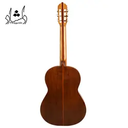 خرید و قیمت گیتار آگرین طرح 2 خرید قسطی با بهترین کیفیت - دلشاد موزیک