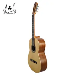 خرید و قیمت گیتار آگرین طرح 2 خرید قسطی با بهترین کیفیت - دلشاد موزیک