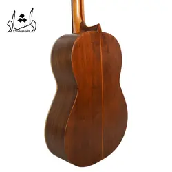 خرید و قیمت گیتار آگرین طرح 2 خرید قسطی با بهترین کیفیت - دلشاد موزیک