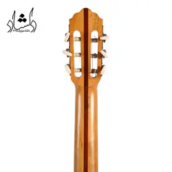 خرید و قیمت گیتار آگرین طرح 2 خرید قسطی با بهترین کیفیت - دلشاد موزیک