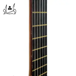 خرید و قیمت گیتار آگرین طرح 2 خرید قسطی با بهترین کیفیت - دلشاد موزیک