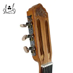 خرید و قیمت گیتار آگرین طرح 2 خرید قسطی با بهترین کیفیت - دلشاد موزیک