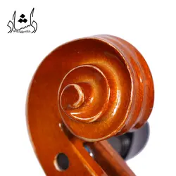 خرید و قیمت ویولن TF 142 سایز 2/4 خرید قسطی با بهترین کیفیت - دلشاد موزیک