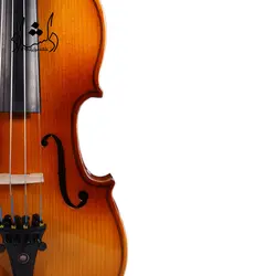 خرید و قیمت ویولن TF 142 سایز 2/4 خرید قسطی با بهترین کیفیت - دلشاد موزیک