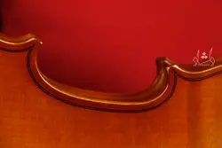 خرید و قیمت ویولن TF 142 سایز 2/4 خرید قسطی با بهترین کیفیت - دلشاد موزیک