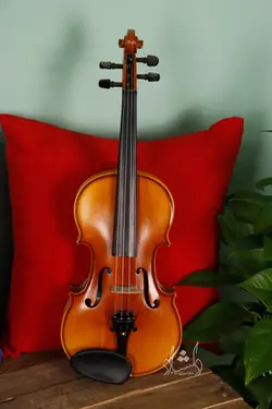 خرید و قیمت ویولن TF 142 سایز 2/4 خرید قسطی با بهترین کیفیت - دلشاد موزیک