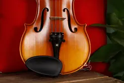 خرید و قیمت ویولن TF 142 سایز 2/4 خرید قسطی با بهترین کیفیت - دلشاد موزیک