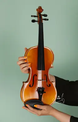 خرید و قیمت ویولن TF 142 سایز 2/4 خرید قسطی با بهترین کیفیت - دلشاد موزیک