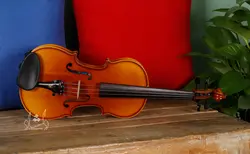 خرید و قیمت ویولن TF 142 سایز 2/4 خرید قسطی با بهترین کیفیت - دلشاد موزیک