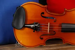 خرید و قیمت ویولن TF 142 سایز 2/4 خرید قسطی با بهترین کیفیت - دلشاد موزیک