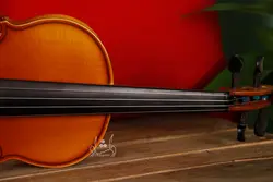 خرید و قیمت ویولن TF 142 سایز 2/4 خرید قسطی با بهترین کیفیت - دلشاد موزیک